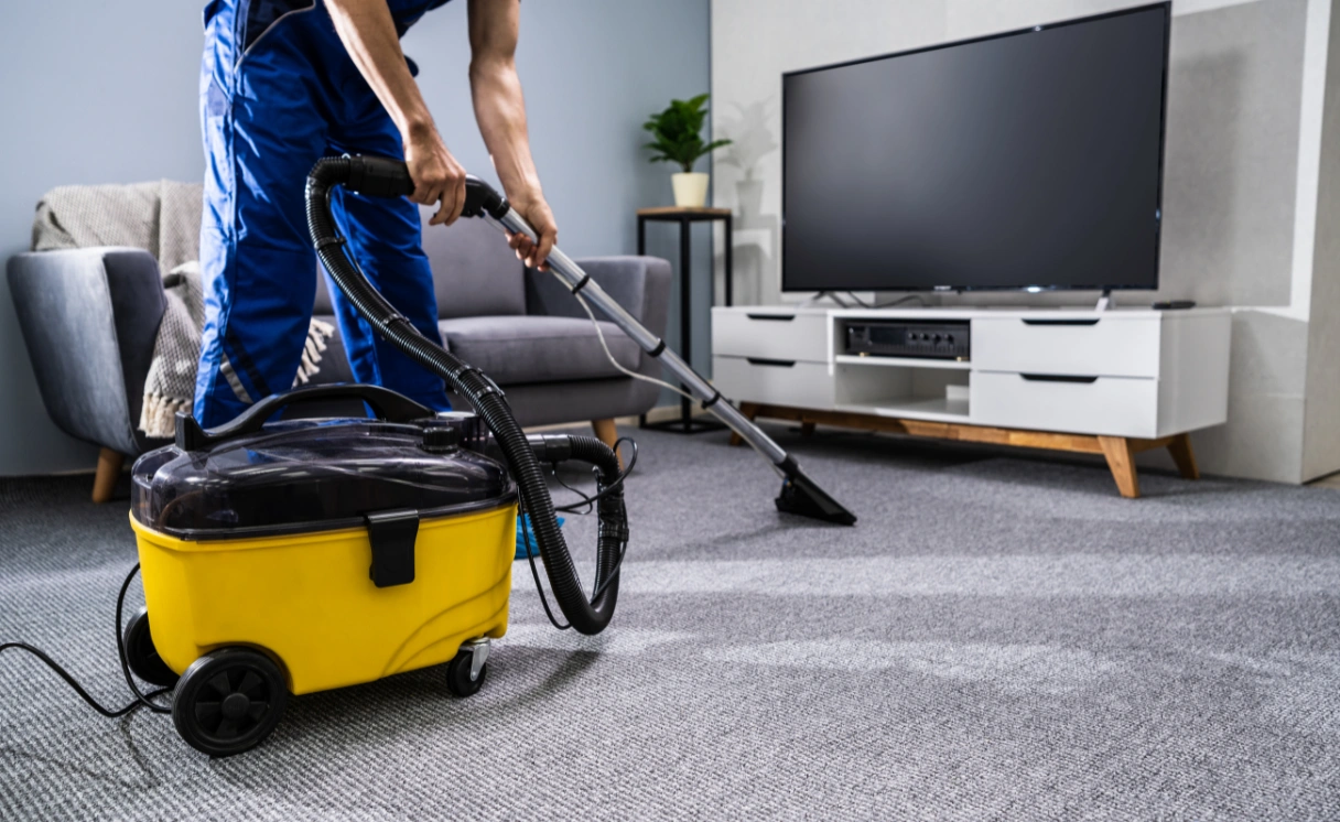 Extract Carpet Repair Mount Clear Contact Office